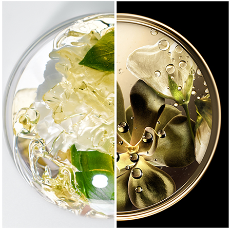 Новинки Лиерак и Фито